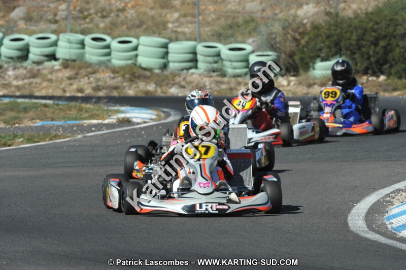 DSC_2310.JPG