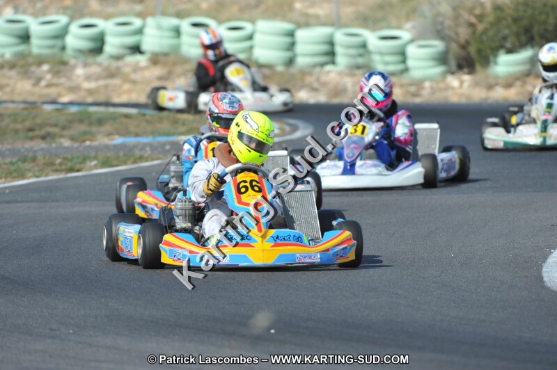 DSC_2311.JPG