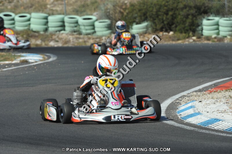 DSC_2331.JPG