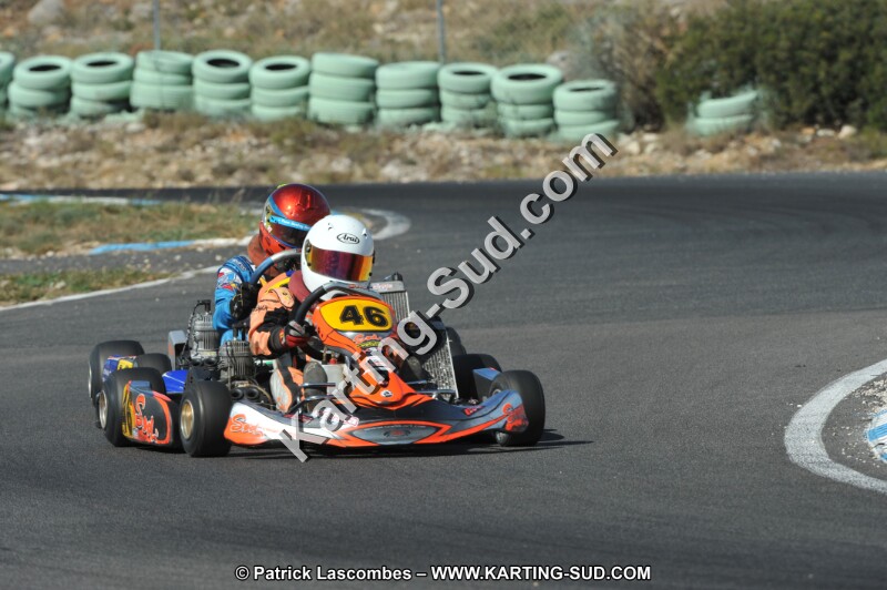 DSC_2350.JPG
