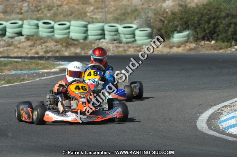 DSC_2388.JPG