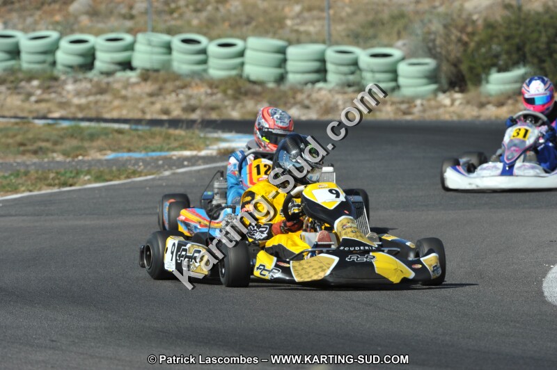 DSC_2436.JPG