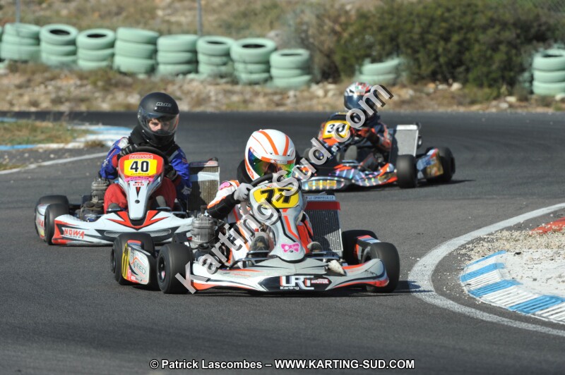 DSC_2478.JPG