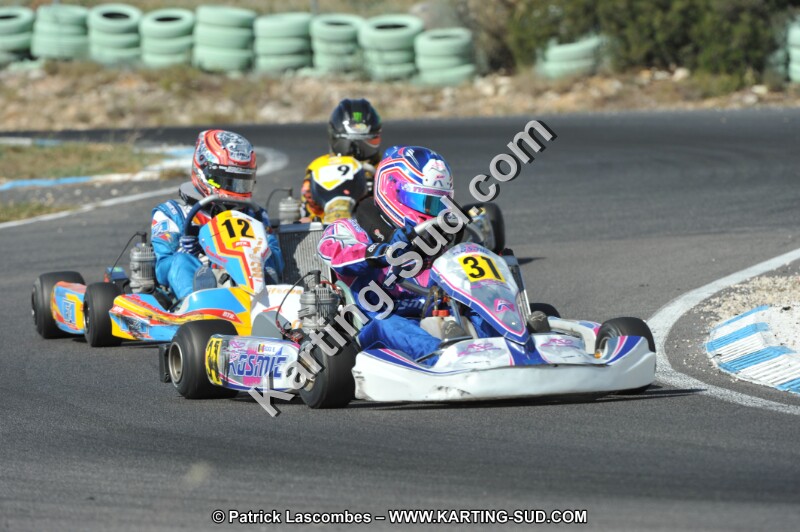 DSC_2480.JPG