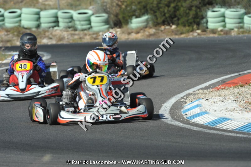 DSC_2488.JPG