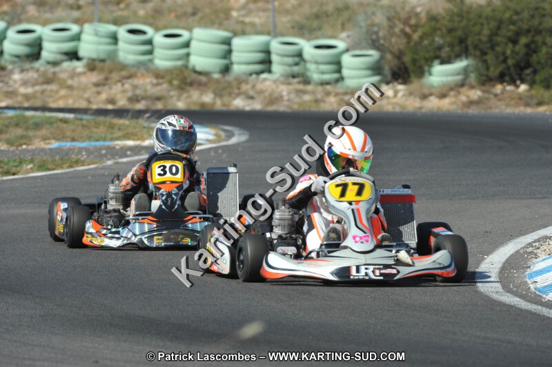 DSC_2509.JPG