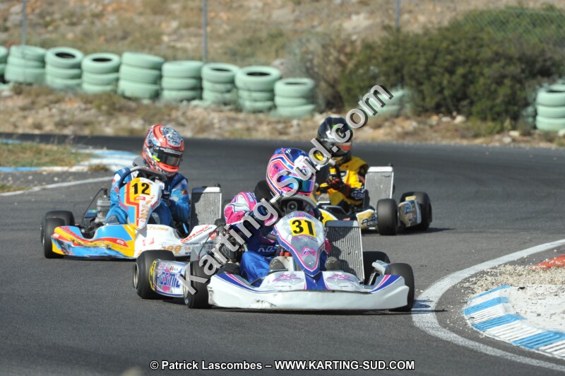 DSC_2511.JPG