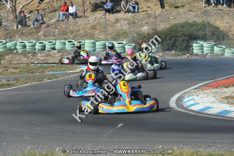 DSC_2537.JPG