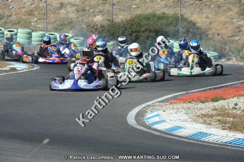 DSC_2547.JPG