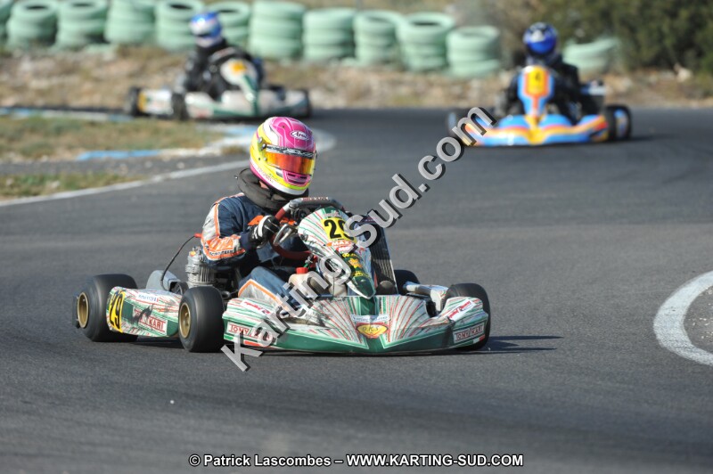 DSC_2631.JPG