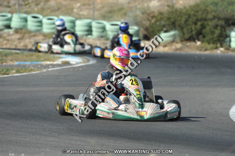 DSC_2667.JPG