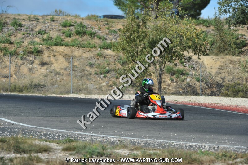 DSC_2772.JPG