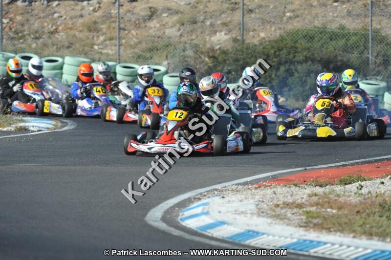 DSC_2779.JPG