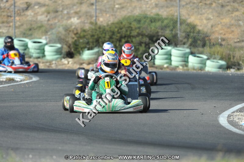 DSC_2799.JPG