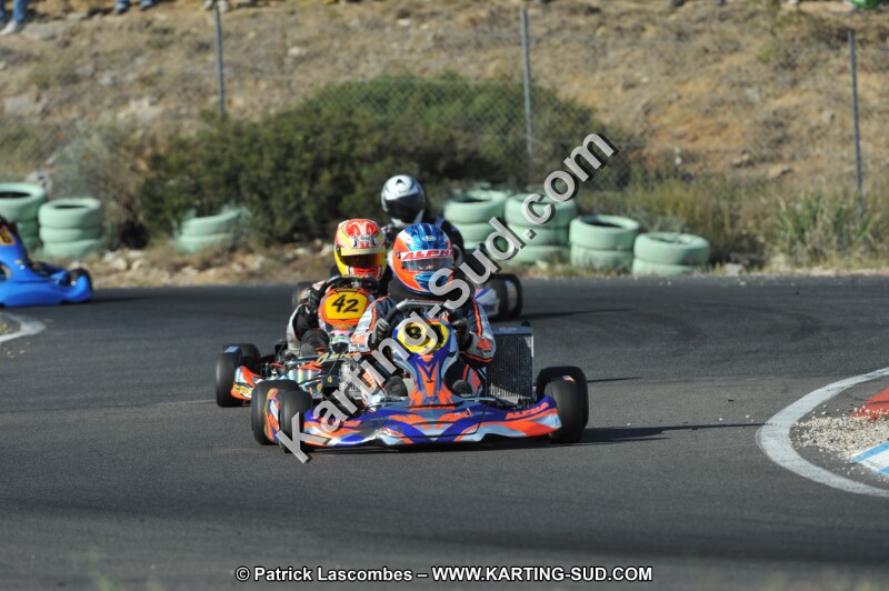 DSC_2873.JPG