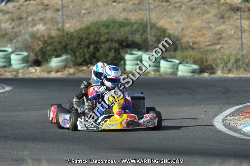 DSC_2884.JPG