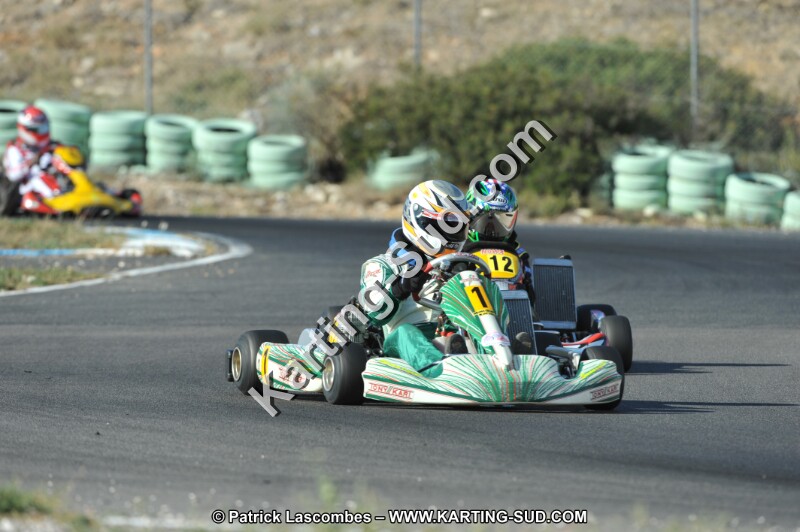 DSC_2914.JPG