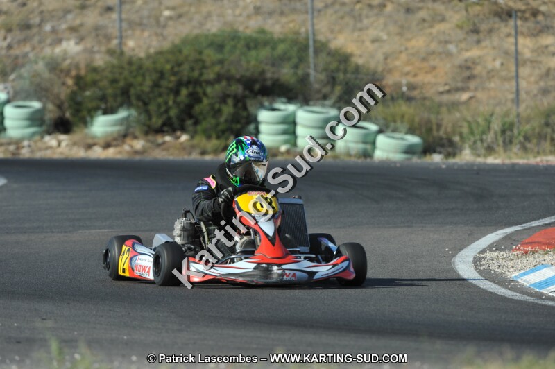 DSC_2930.JPG