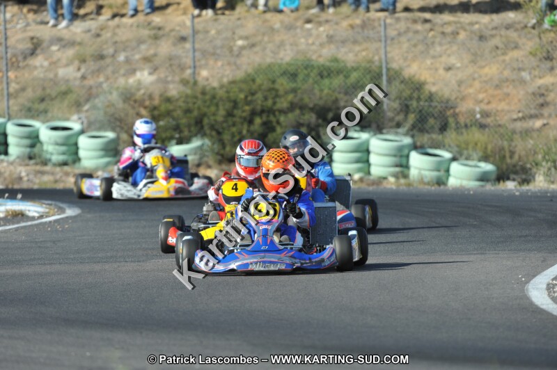 DSC_2931.JPG