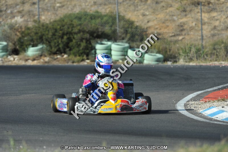 DSC_2932.JPG