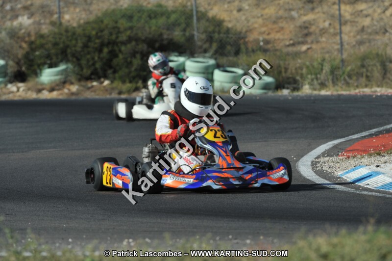 DSC_2936.JPG