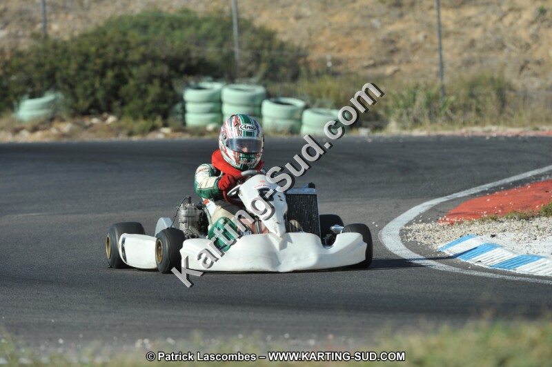 DSC_2937.JPG