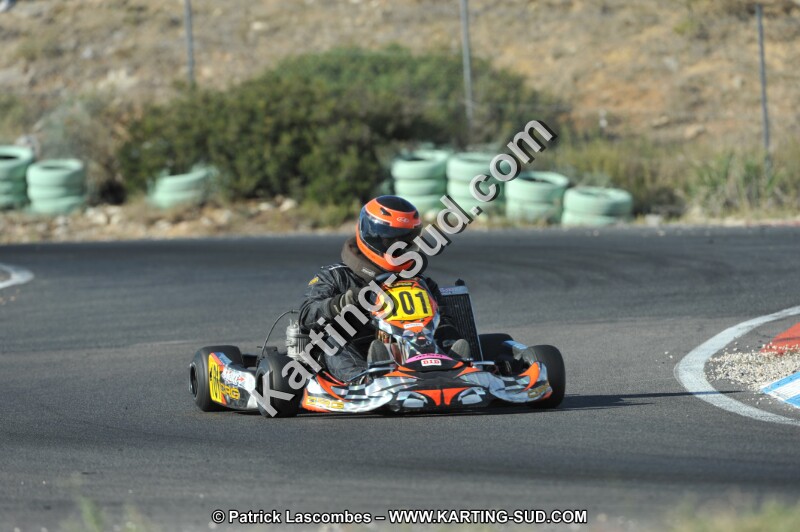 DSC_2940.JPG