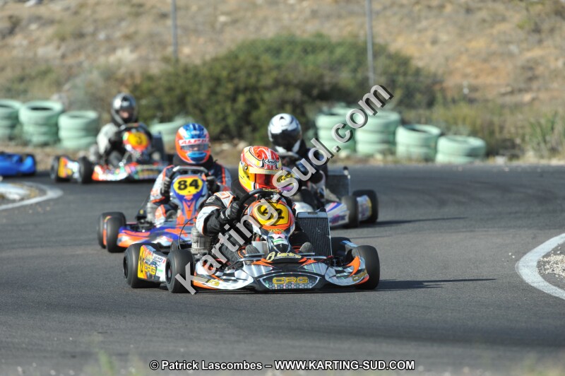 DSC_2954.JPG