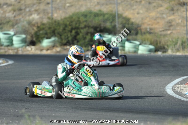 DSC_2988.JPG