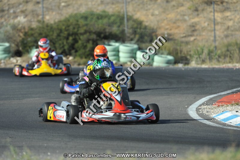 DSC_3110.JPG