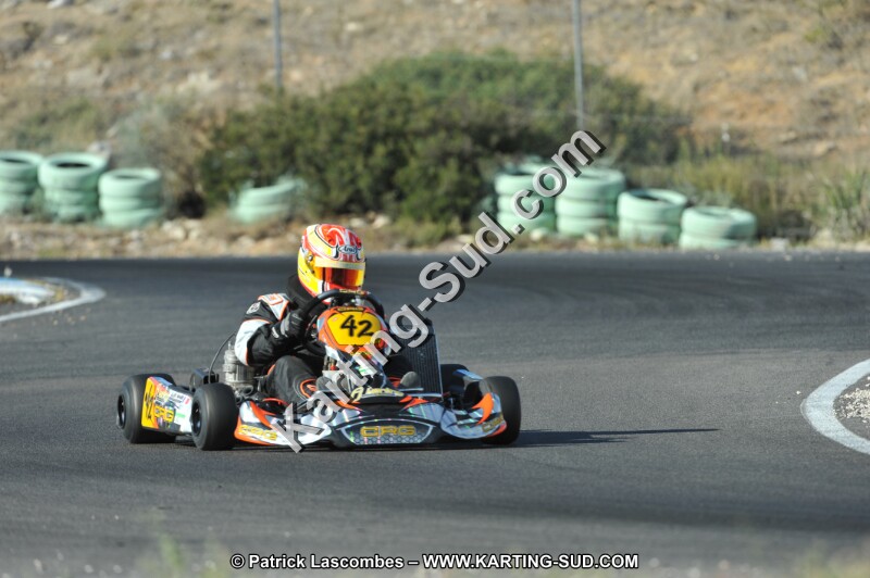 DSC_3119.JPG