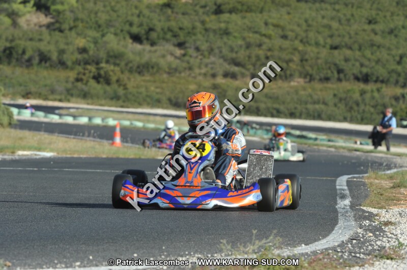 DSC_3175.JPG