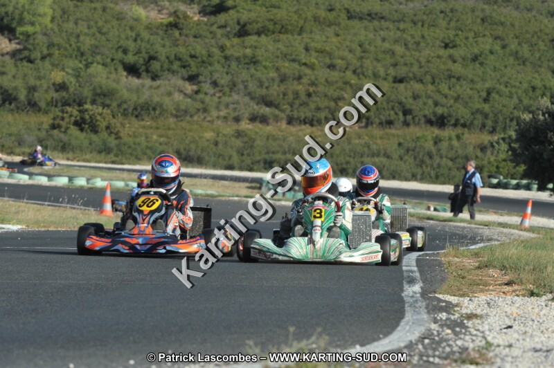 DSC_3176.JPG