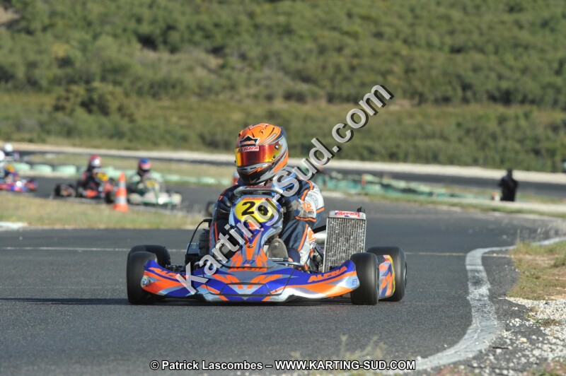 DSC_3201.JPG