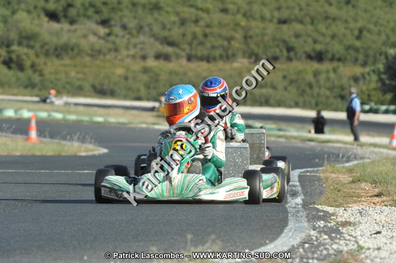DSC_3231.JPG