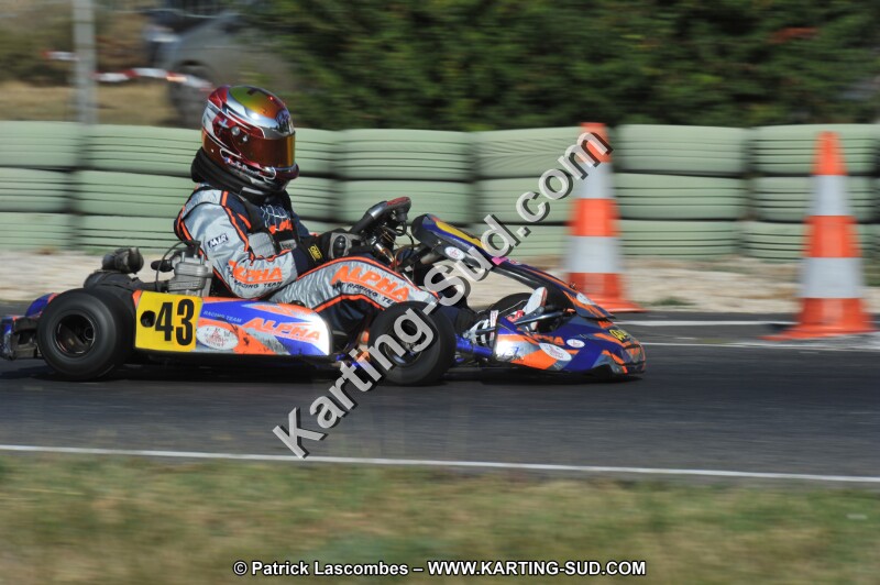 DSC_8081.JPG