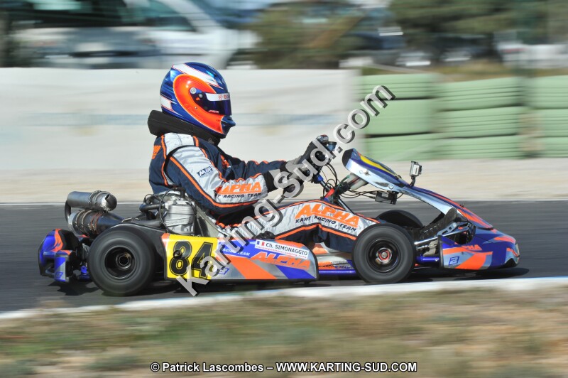 DSC_8149.JPG