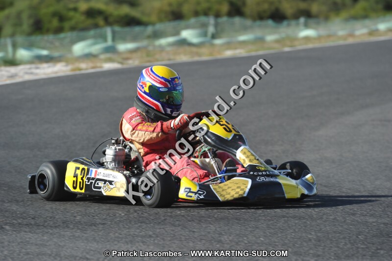 DSC_8247.JPG