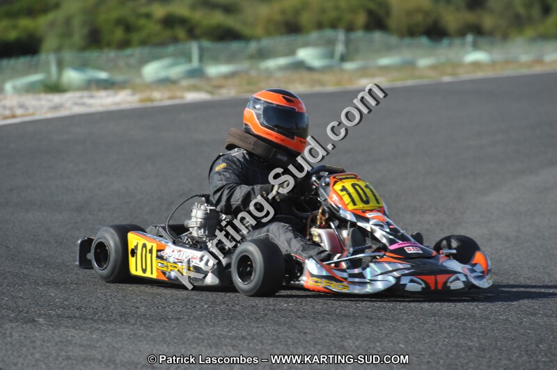 DSC_8251.JPG