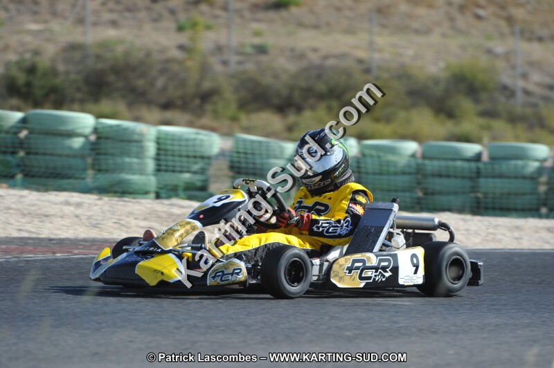 DSC_8269.JPG