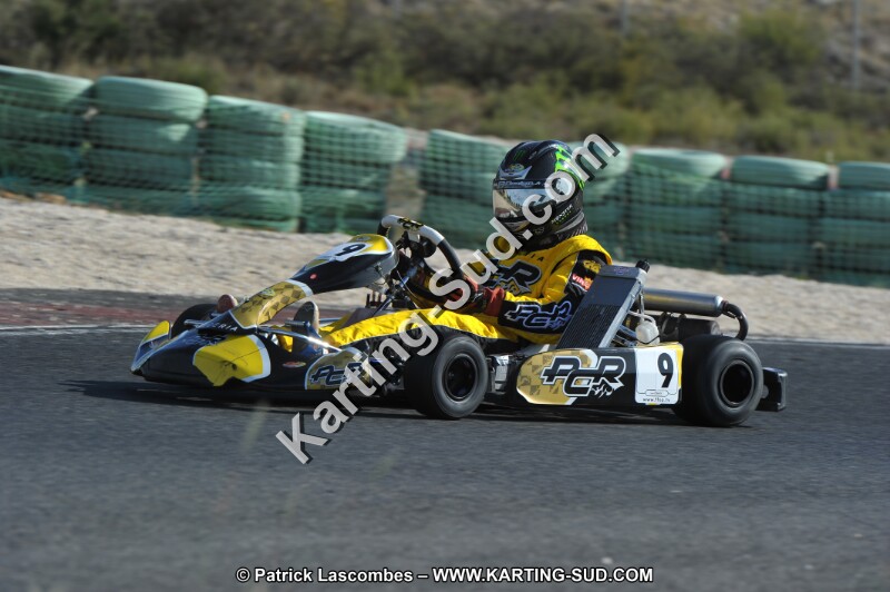 DSC_8276.JPG