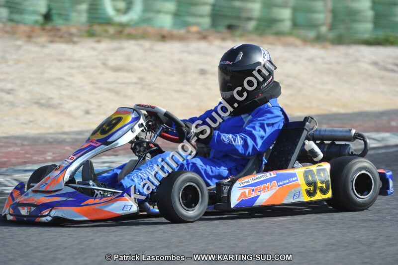 DSC_8283.JPG
