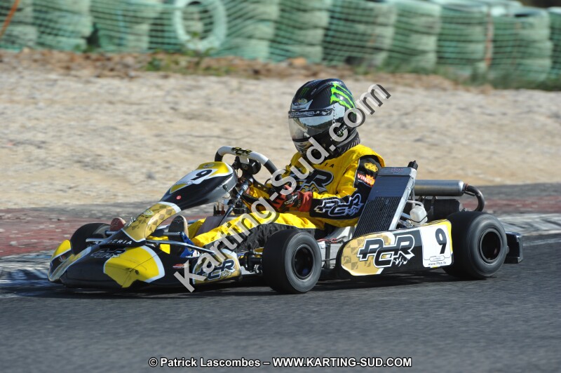 DSC_8284.JPG