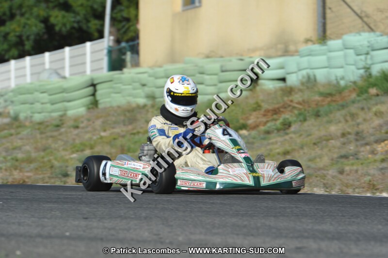DSC_8299.JPG