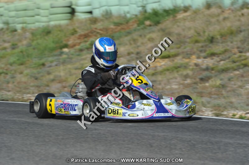 DSC_8310.JPG
