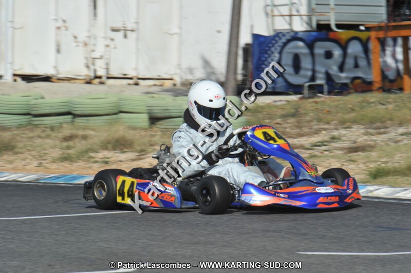 DSC_8319.JPG
