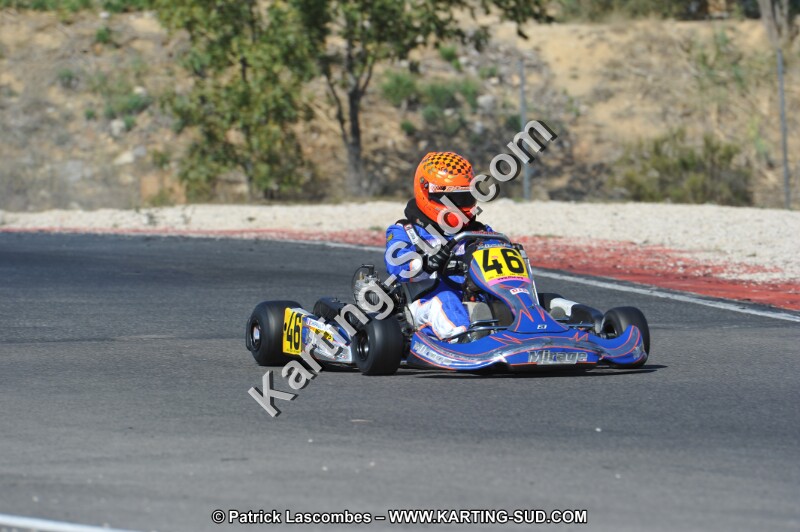 DSC_8368.JPG