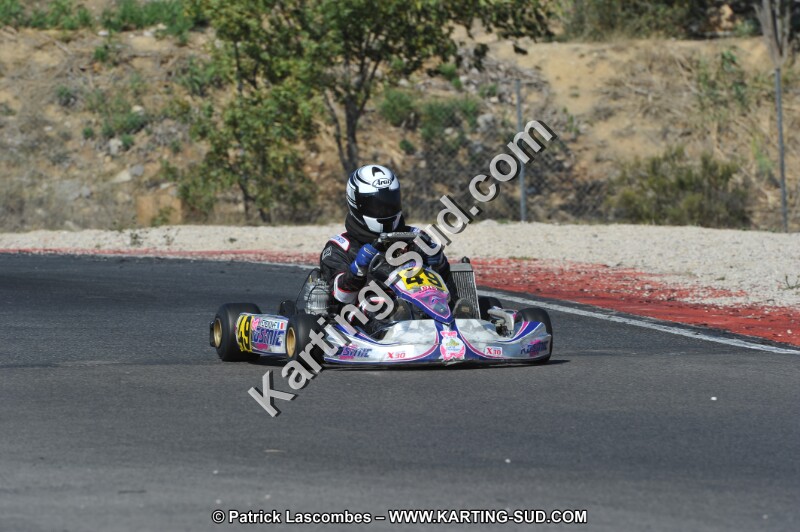 DSC_8376.JPG