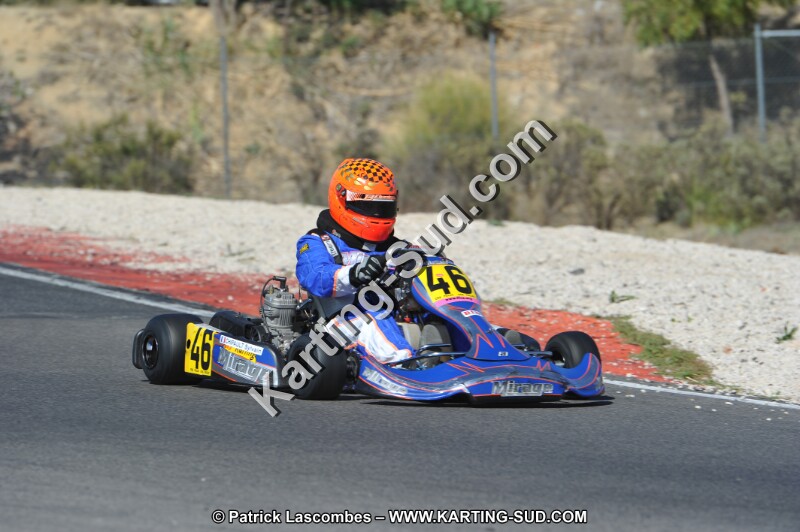 DSC_8378.JPG