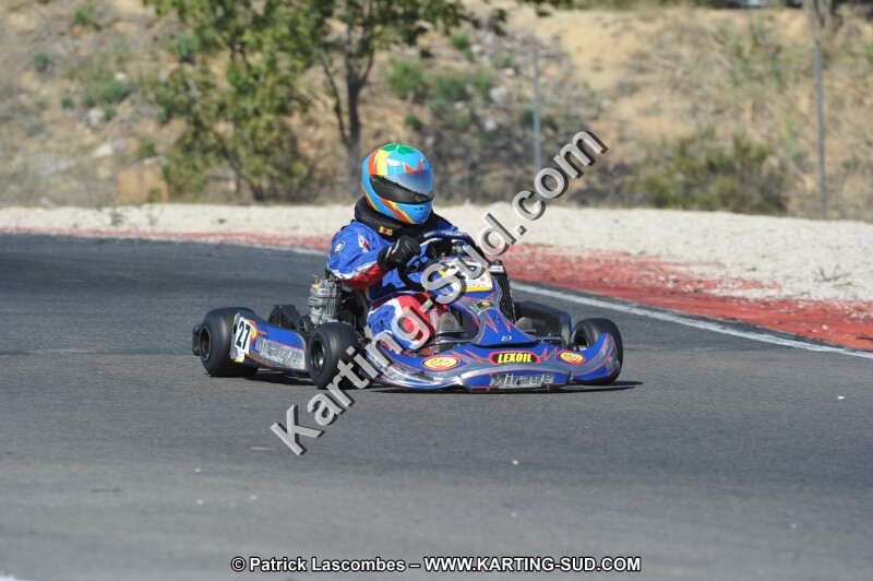 DSC_8381.JPG